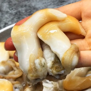 단독창고: 손질 노랑새조개 2.5kg