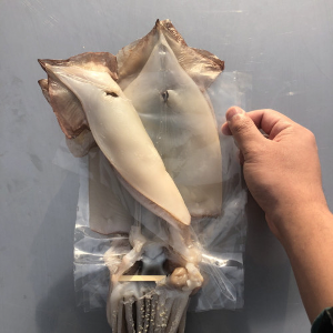 단독창고: 반건조 오징어 1.2kg급